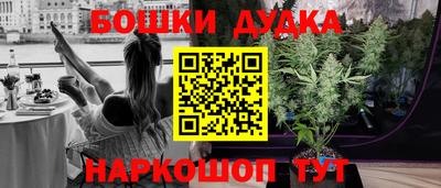 дмт Новодвинск