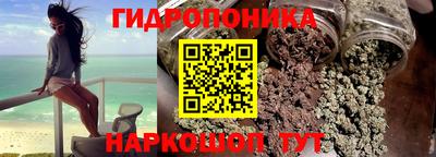 дмт Новодвинск